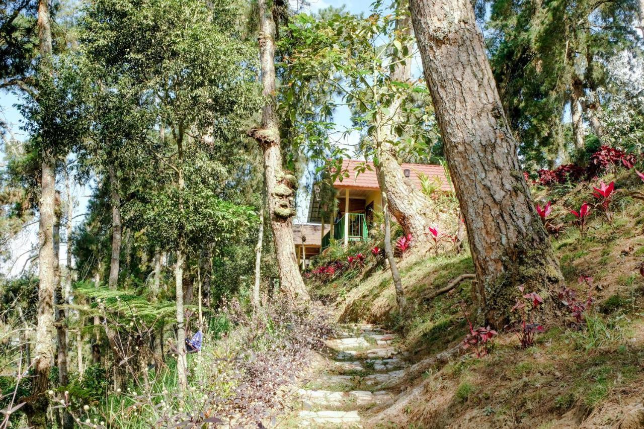 Oyo 1175 Oemah Djowo Resort Magetan Εξωτερικό φωτογραφία